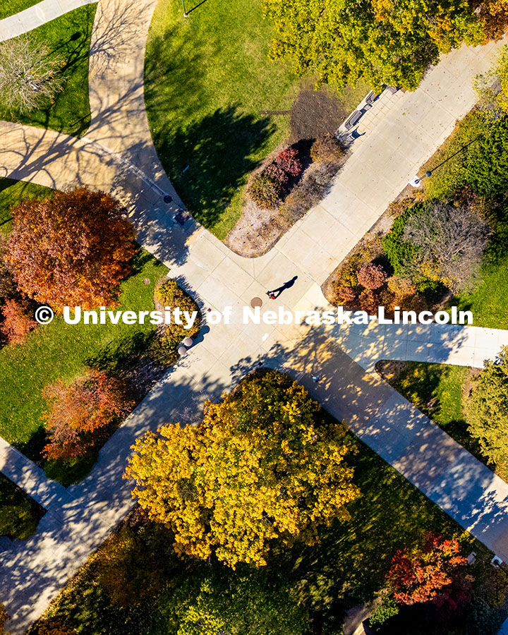 Students crossing campus on a sunny fall afternoon. November 11, 2024. Photo by Jordan Opp / University Communication and Marketing.